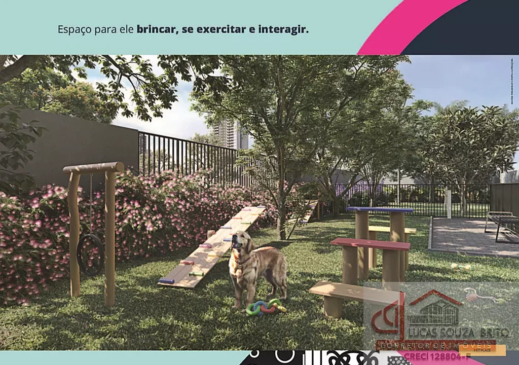 Concept Barra Funda pet place